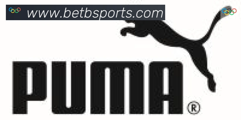 Bsports官网合作伙伴
